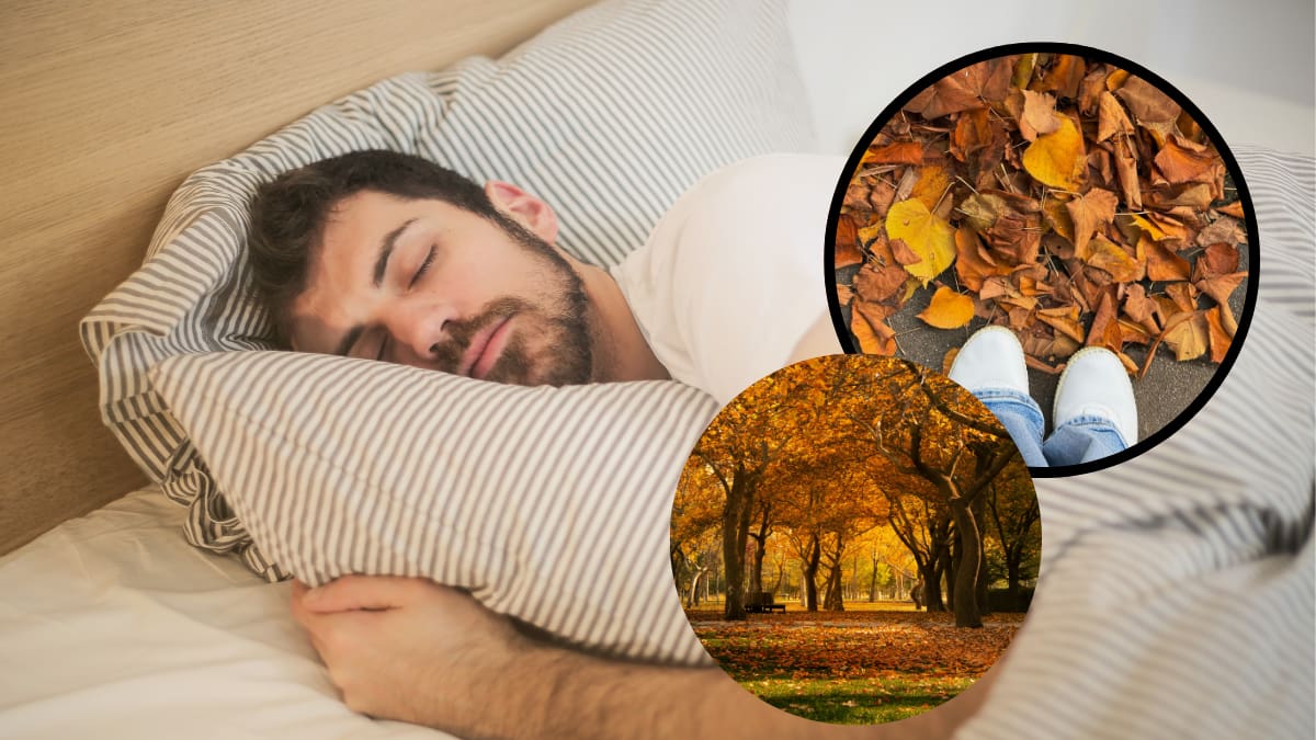 Científicos explican que el otoño puede modificar nuestros hábitos de sueño y hacer que descansemos más cuando disminuyan las horas de luz y el ritmo circadiano recibe nuevas señales del entorno