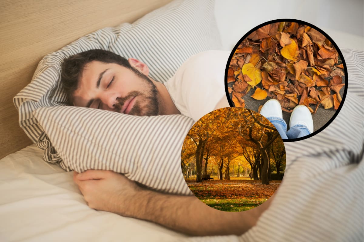 Científicos explican que el otoño puede modificar nuestros hábitos de sueño y hacer que descansemos más cuando disminuyan las horas de luz y el ritmo circadiano recibe nuevas señales del entorno