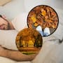 Científicos explican que el otoño puede modificar nuestros hábitos de sueño y hacer que descansemos más cuando disminuyan las horas de luz y el ritmo circadiano recibe nuevas señales del entorno