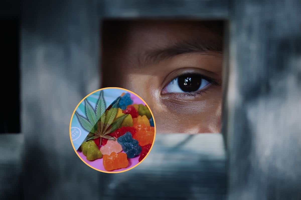 Mexicanos y estadounidenses tenían red de tráfico de niños hacia EEUU, a quienes drogaban con dulces de mariguana para mantenerlos sedados y controlables