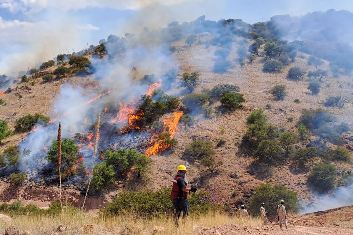 En Sonora bajan los incendios forestales, pero aumentan los daños y la superficie afectada supera miles de hectáreas