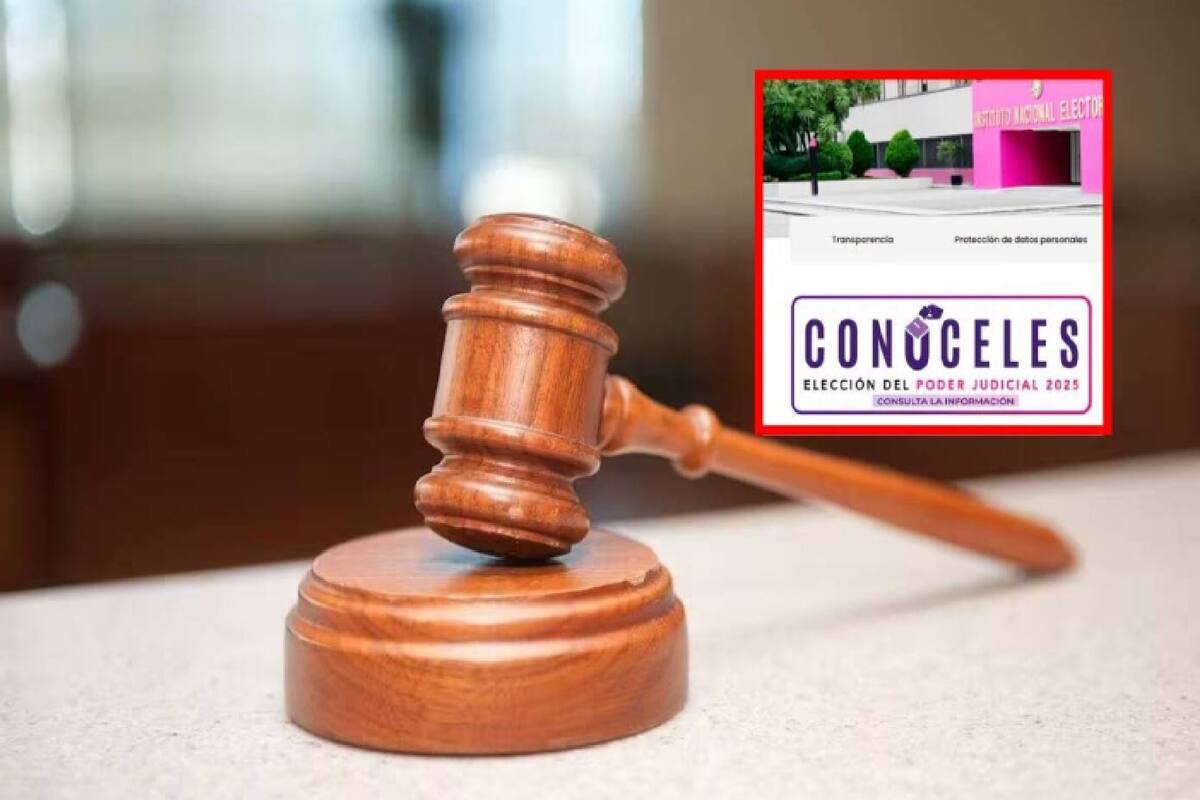 Cerca del 100% de los aspirantes al Poder Judicial capturaron su CV en Conóceles