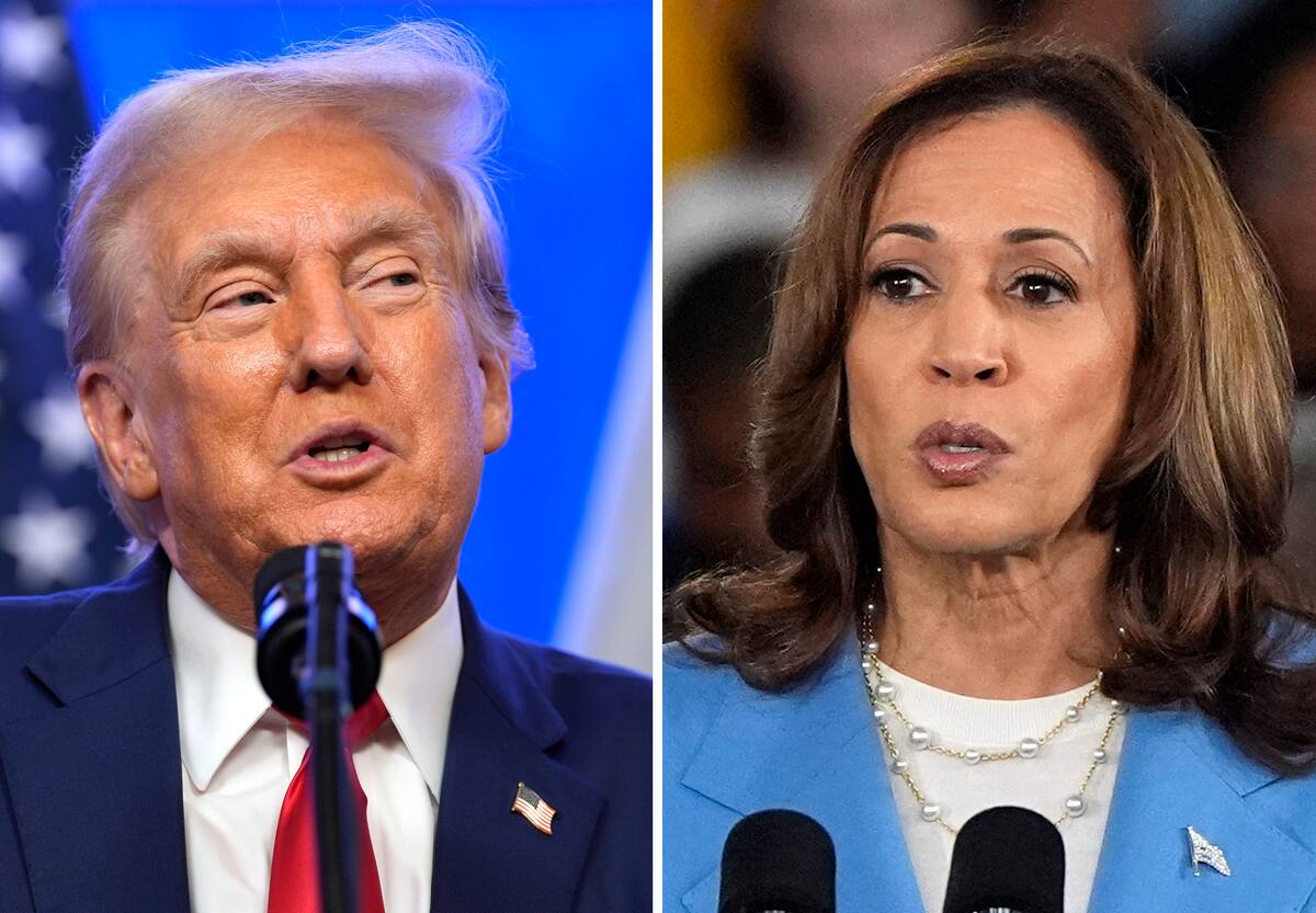 El expresidente y candidato presidencial republicano Donald Trump y a la vicepresidenta y candidata presidencial demócrata Kamala Harris tendrán su primer cara a cara en un debate presidencial de los Estados Unidos. (AP Foto)