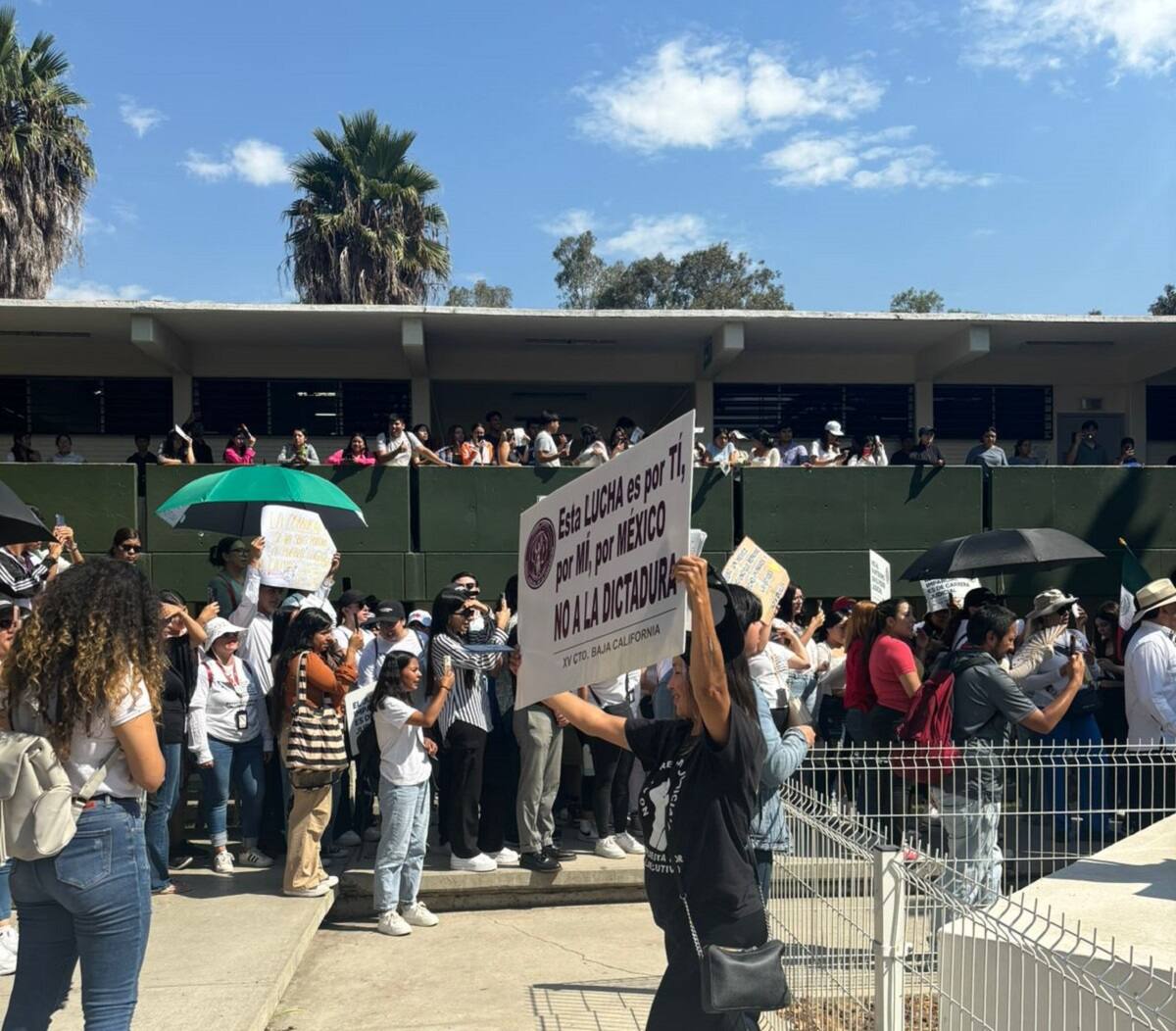 Entre cánticos como “abogados del mañana la justicia te reclama” y “Cimarrón con conciencia exige independencia” se manifestaron el pasado viernes.