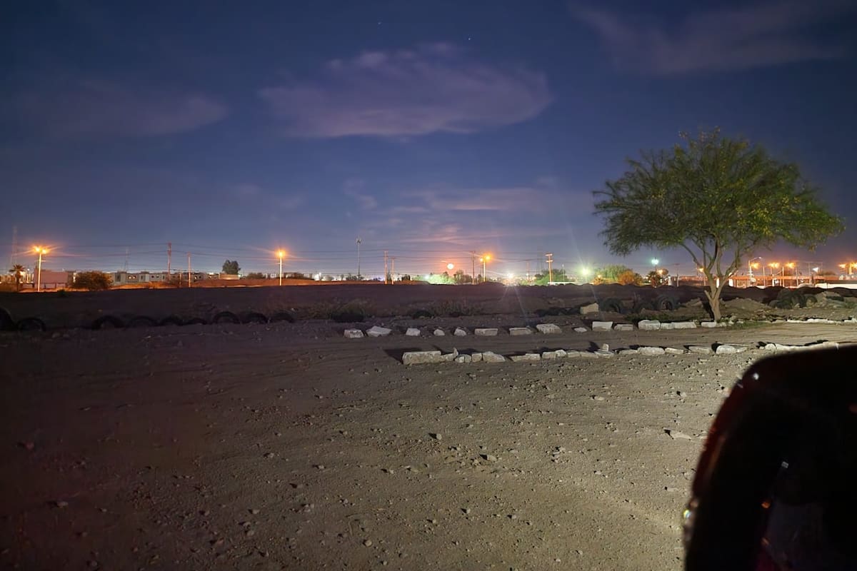 “Las aves ya no regresan” Asociación denuncia afectaciones por luces LED en la Laguna México
