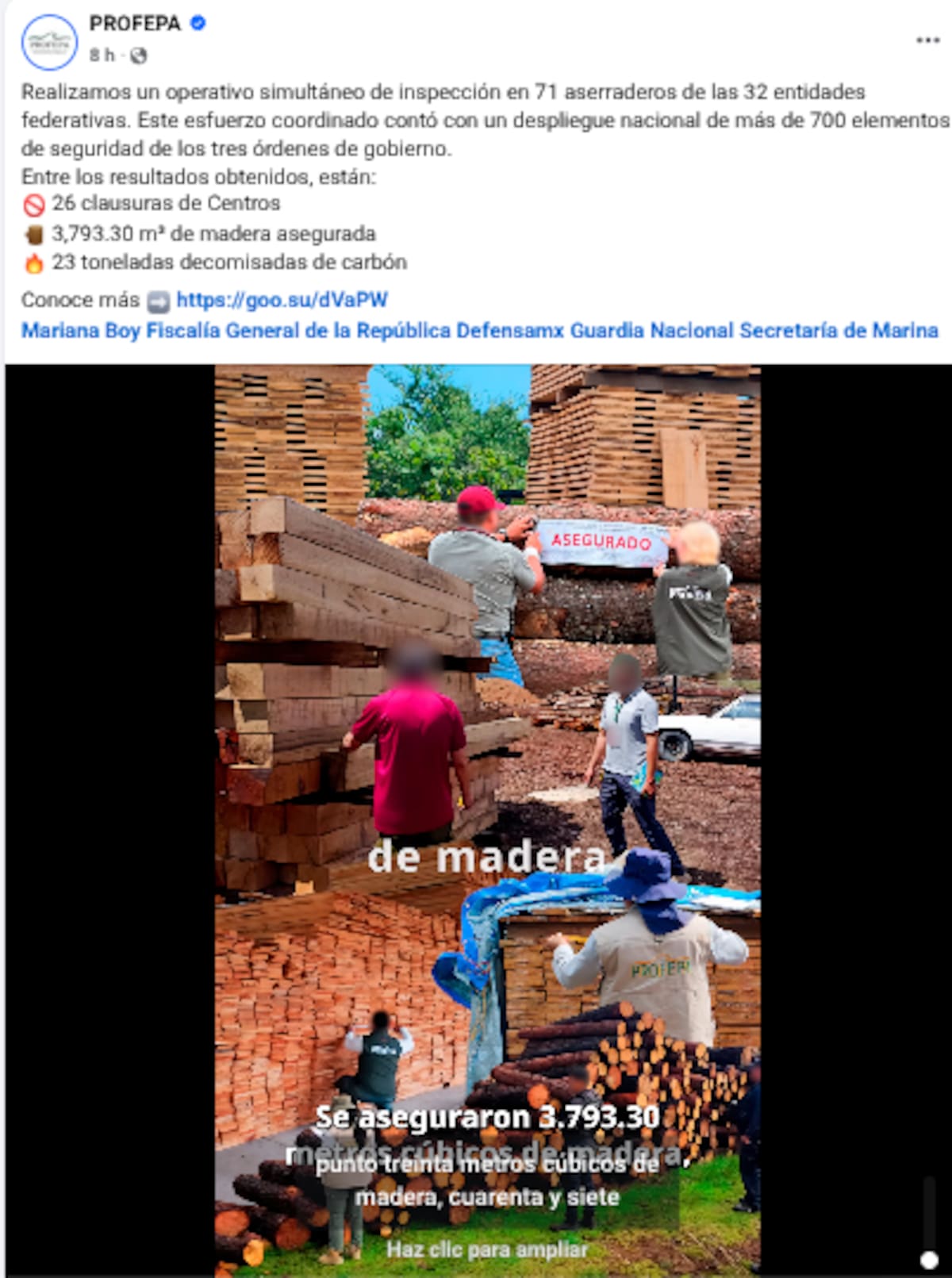 Profepa desmantela aserraderos ilegales en todo México: decomisan madera, carbón y maquinaria en 32 estados. / PROFEPA a través de Facebook.