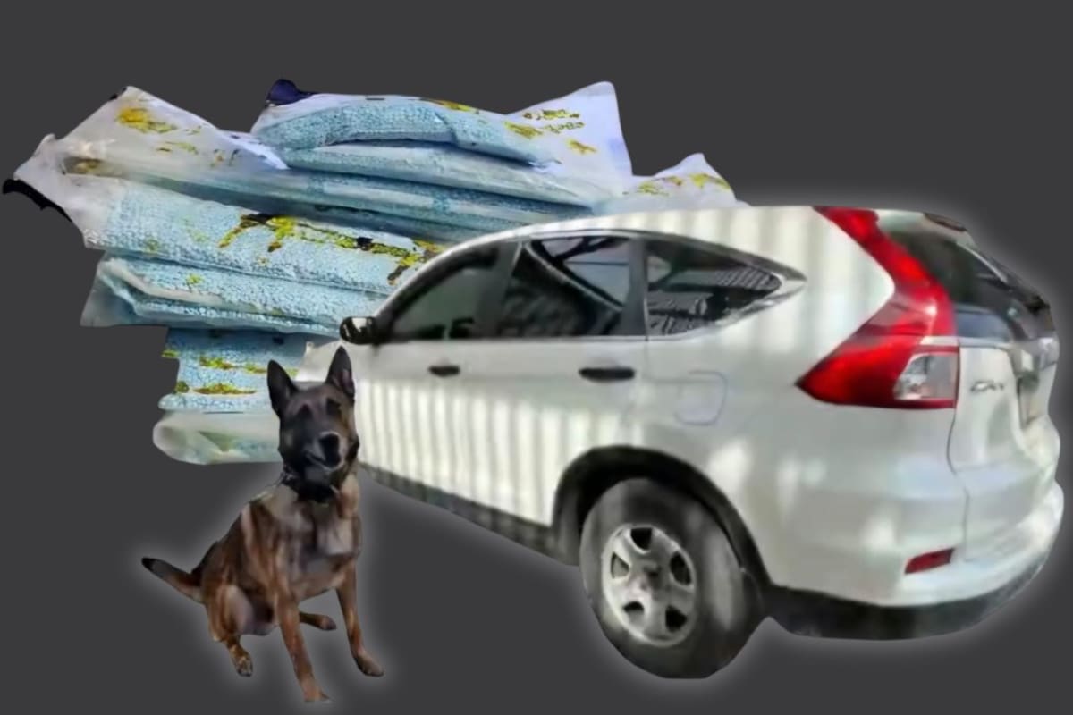 Decomisan más de 225 mil pastillas de fentanilo en garita de Nogales