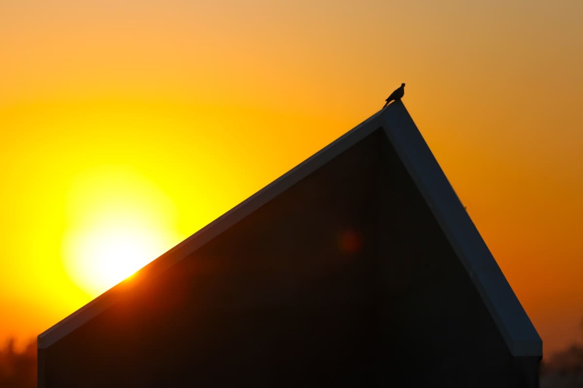 Respira Mexicali del calor extremo y baja a 41 grados este lunes