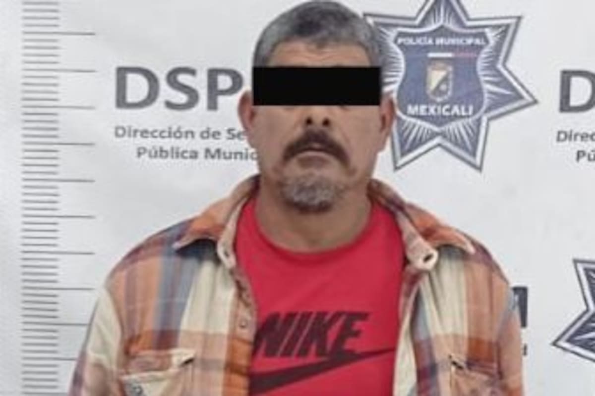 Perro pitbull ataca a adulto mayor en la colonia Roma; detienen al dueño en Mexicali