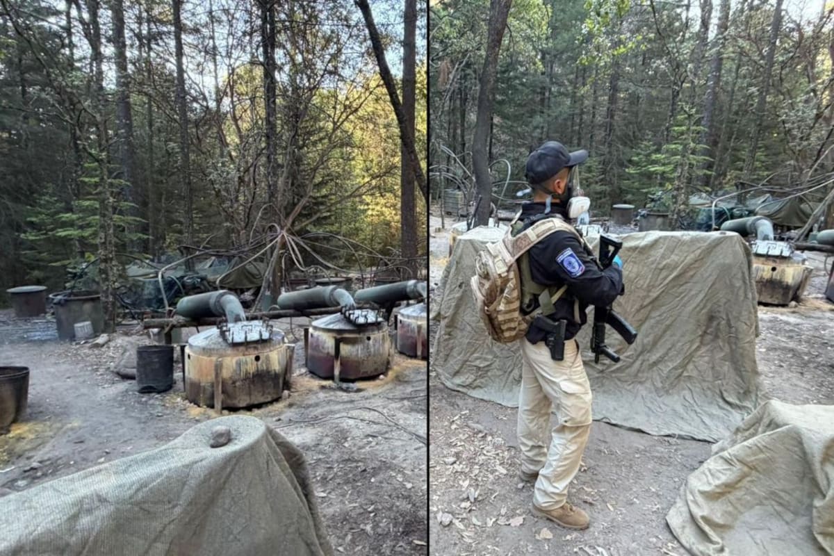 Mueren dos funcionarios de EEUU y dos agentes estatales en accidente tras operativo contra narcolaboratorios en Chihuahua