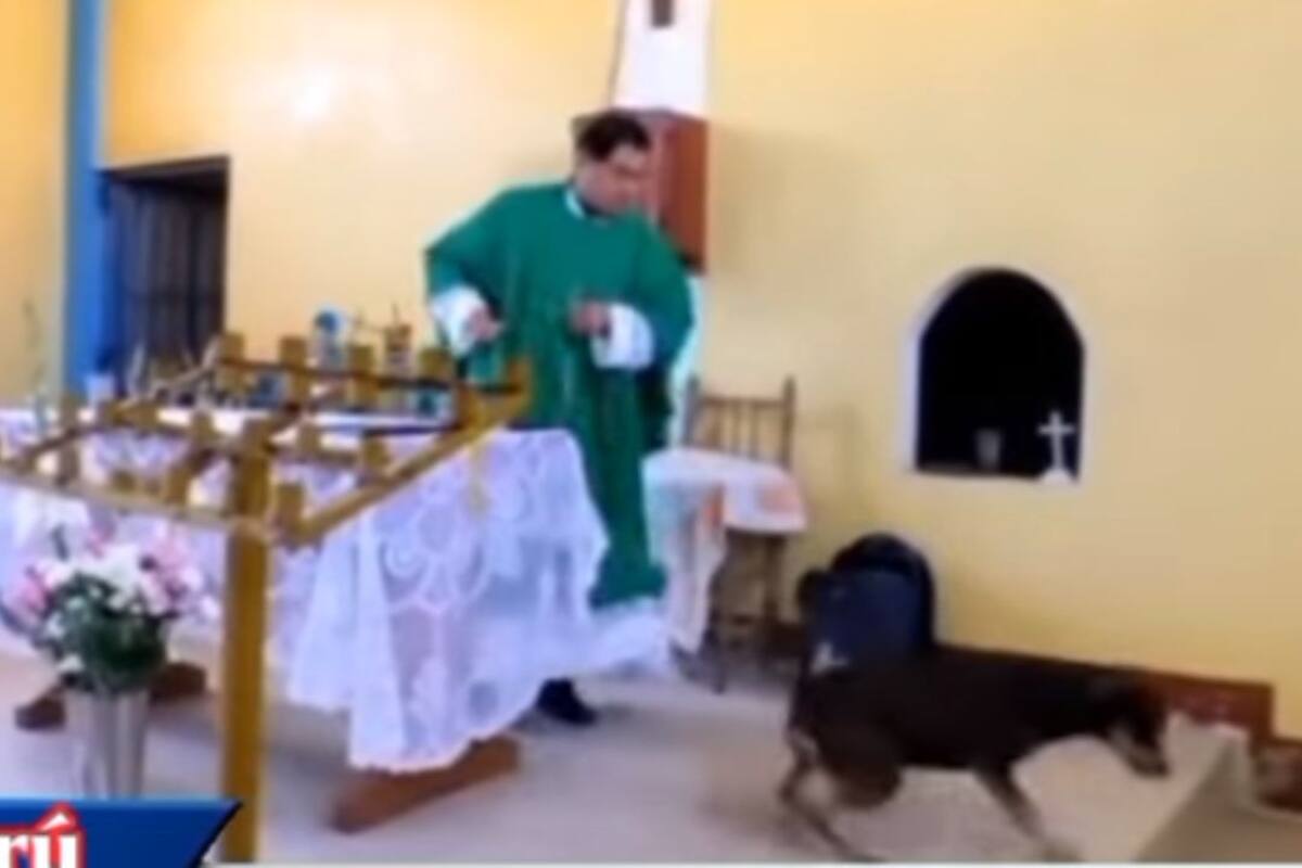 VIRAL: Sacerdote patea a perro en plena misa y asegura que Jesús hacia lo mismo