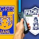 Tigres vs Pachuca: ¿A qué hora y por dónde ver EN VIVO en vivo el partido de Jornada 7 de la Liga MX?