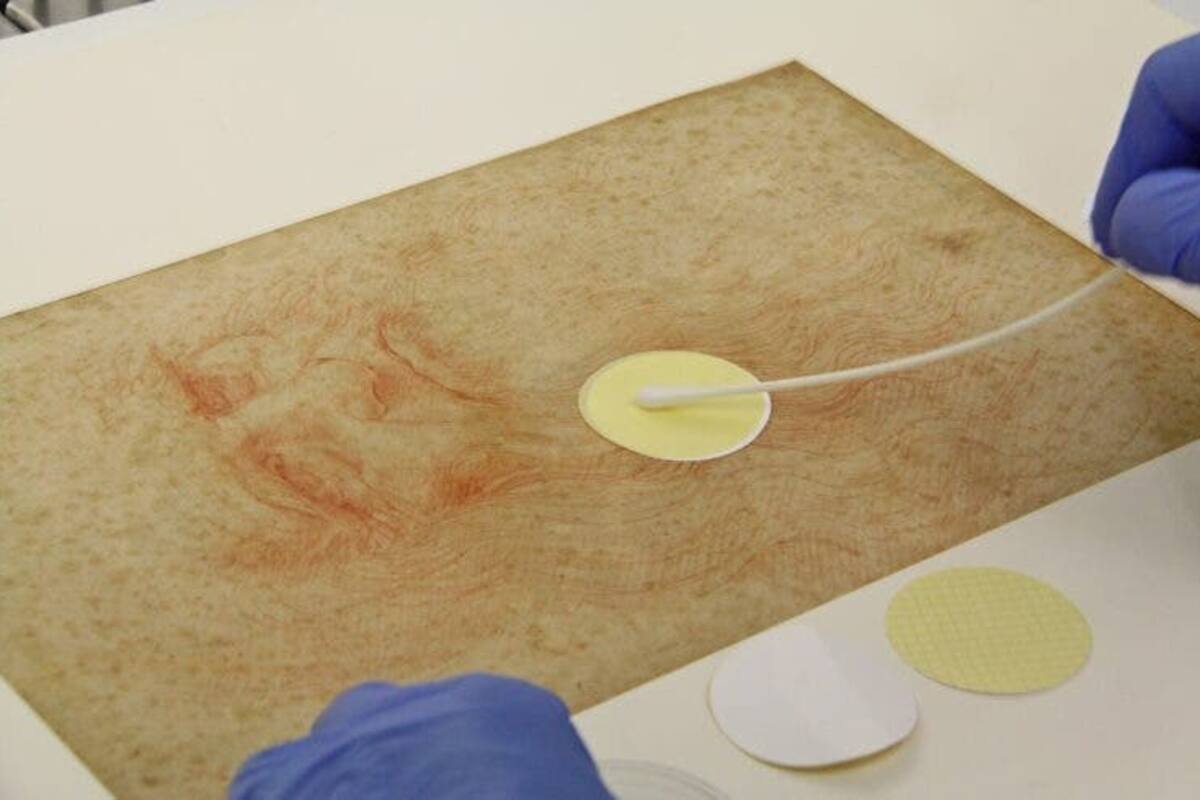 Microbios en los dibujos de da Vinci tienen mucho que decir sobre su obra
