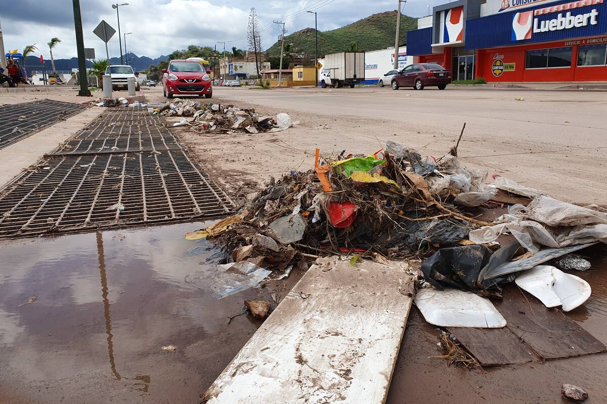 Te invitan a ser "detective ambiental"