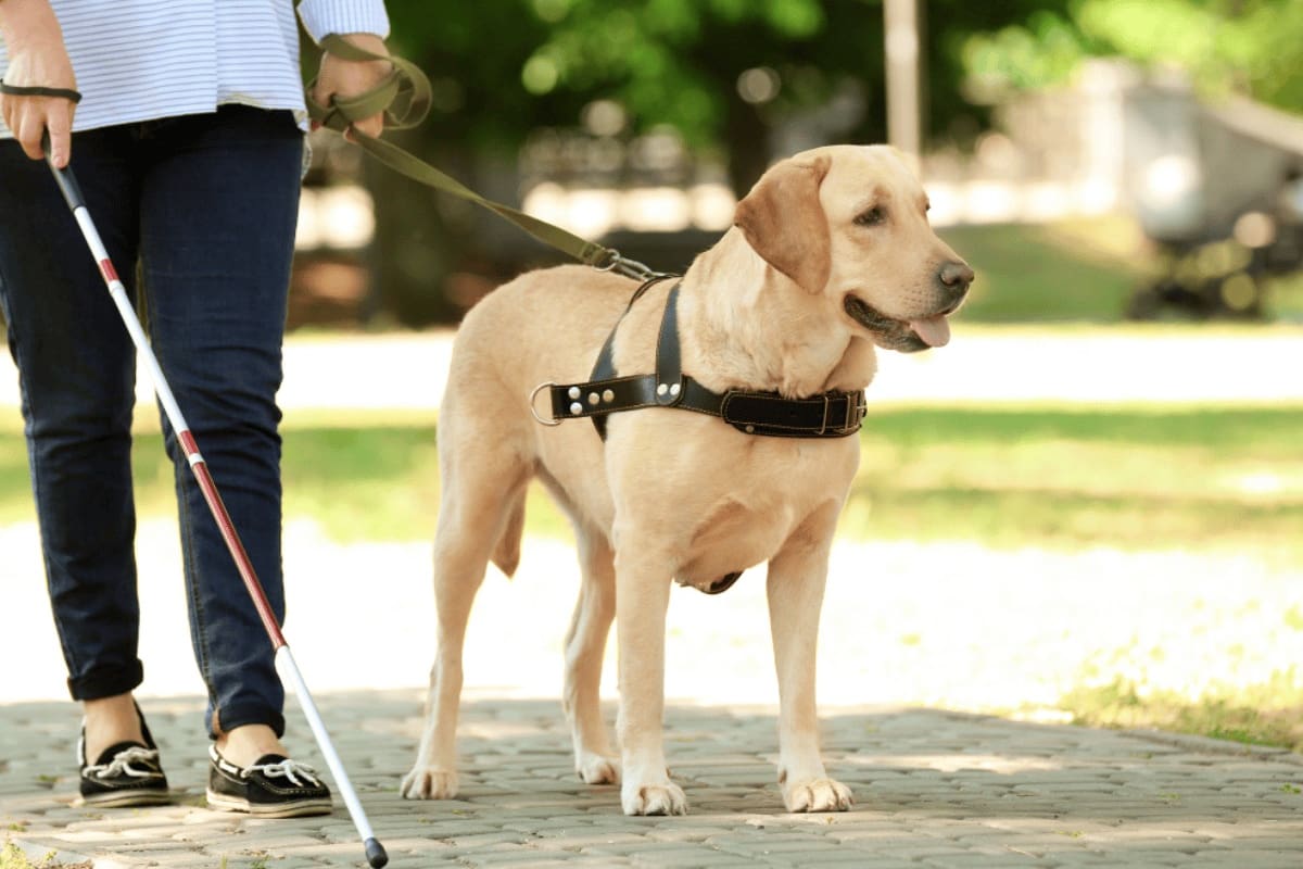 Efemérides del 24 de abril: ¿Qué pasó un día como hoy?