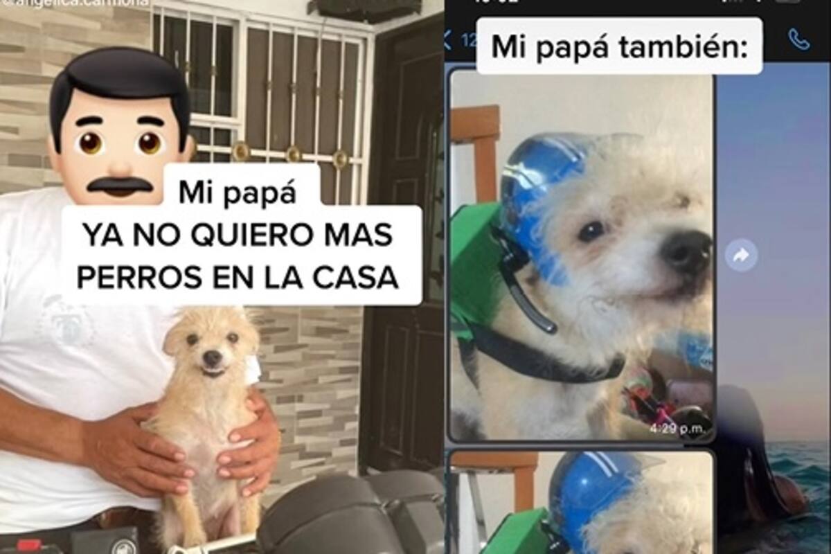 Viral: Le hace mochila de repartidor y casco a su perrito