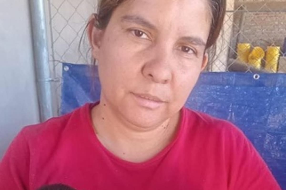 Realizan campaña de adopción de perros y gatos