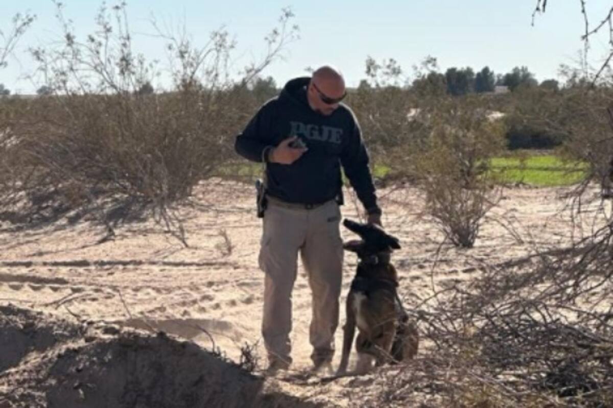 Muere agente canino Iker, de la FGE