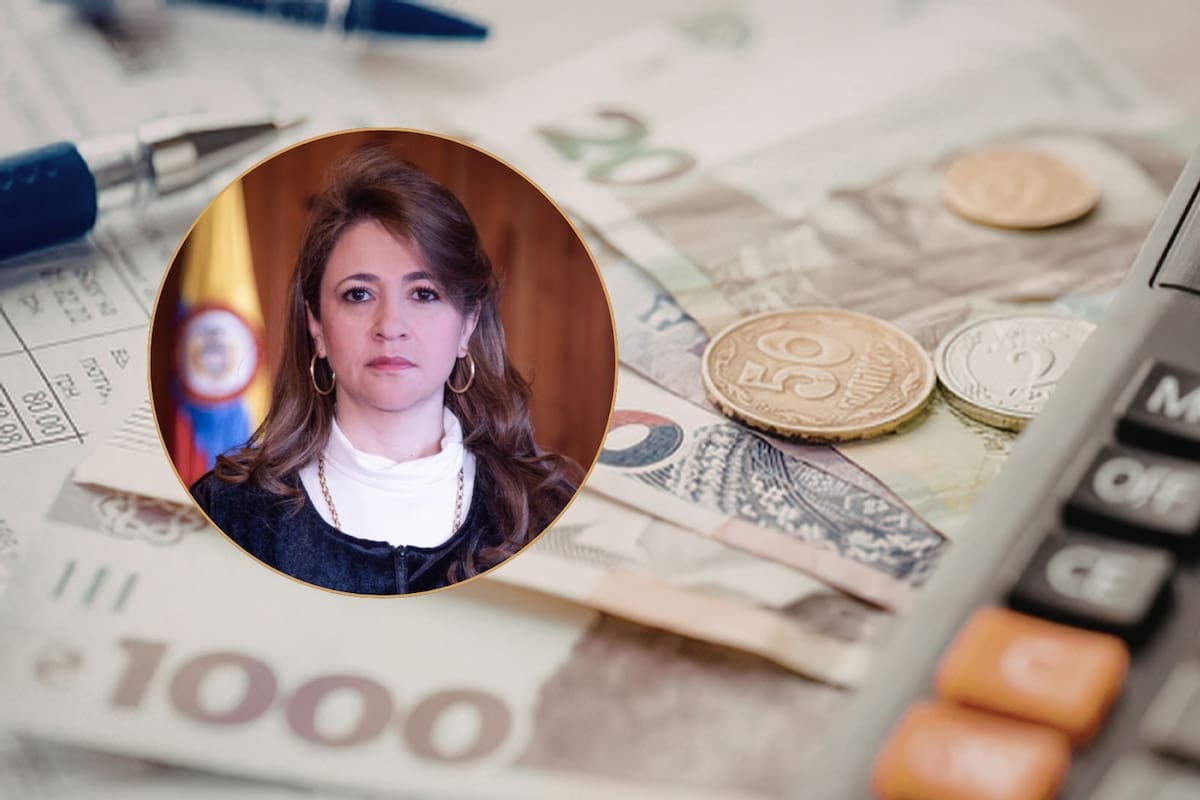Investigan a una magistrada tras detectarse que quintuplicó su fortuna en pocos años y la oficina de inteligencia financiera reveló que el 67 por ciento de su millonario patrimonio no tiene una justificación clara en sus declaraciones oficiales