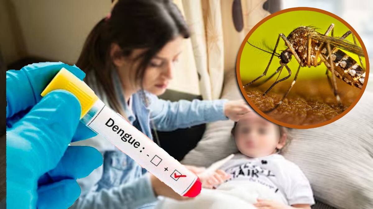 El dengue crece en México: alarma por casos graves en menores y aumento de muertes. / Foto: Especial