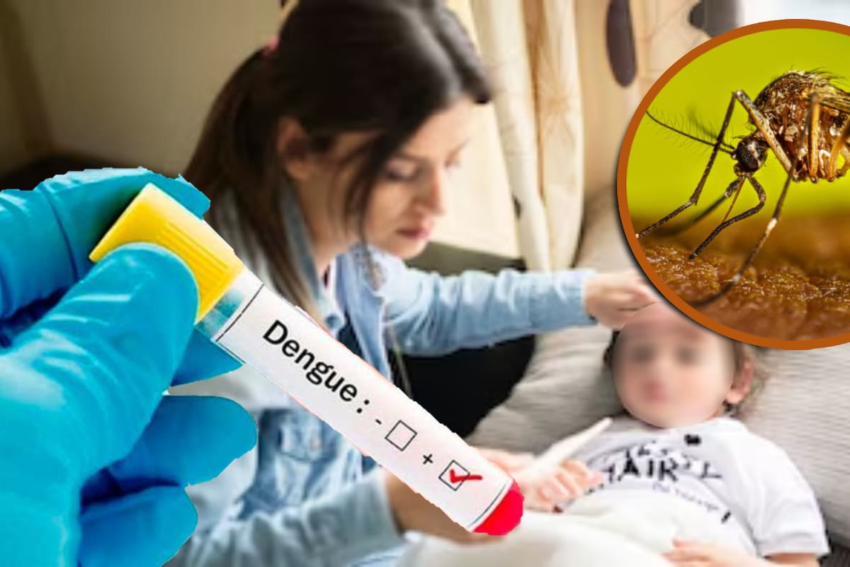Alarma en México por aumento de muertes por dengue; puede afectar principalmente a niños y adolescentes