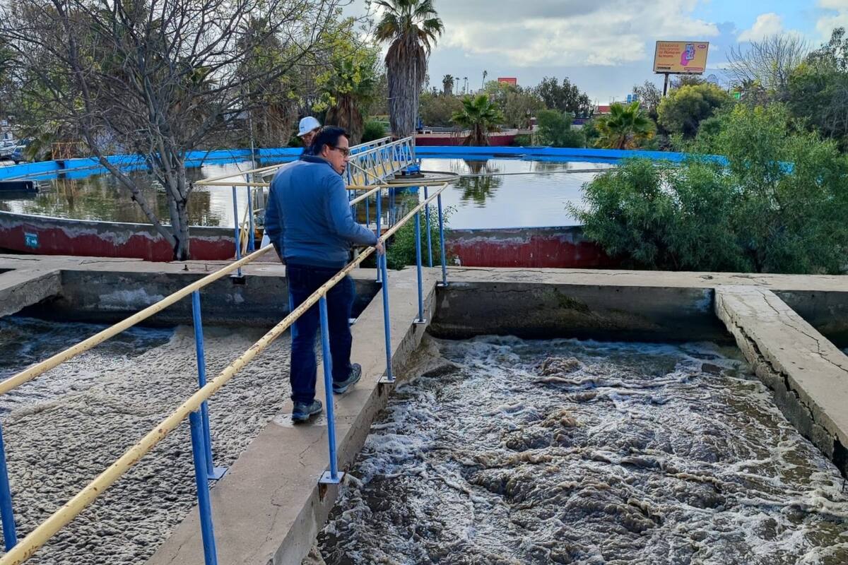 Inicia Profepa procesos a cuatro plantas tratadoras de Ensenada