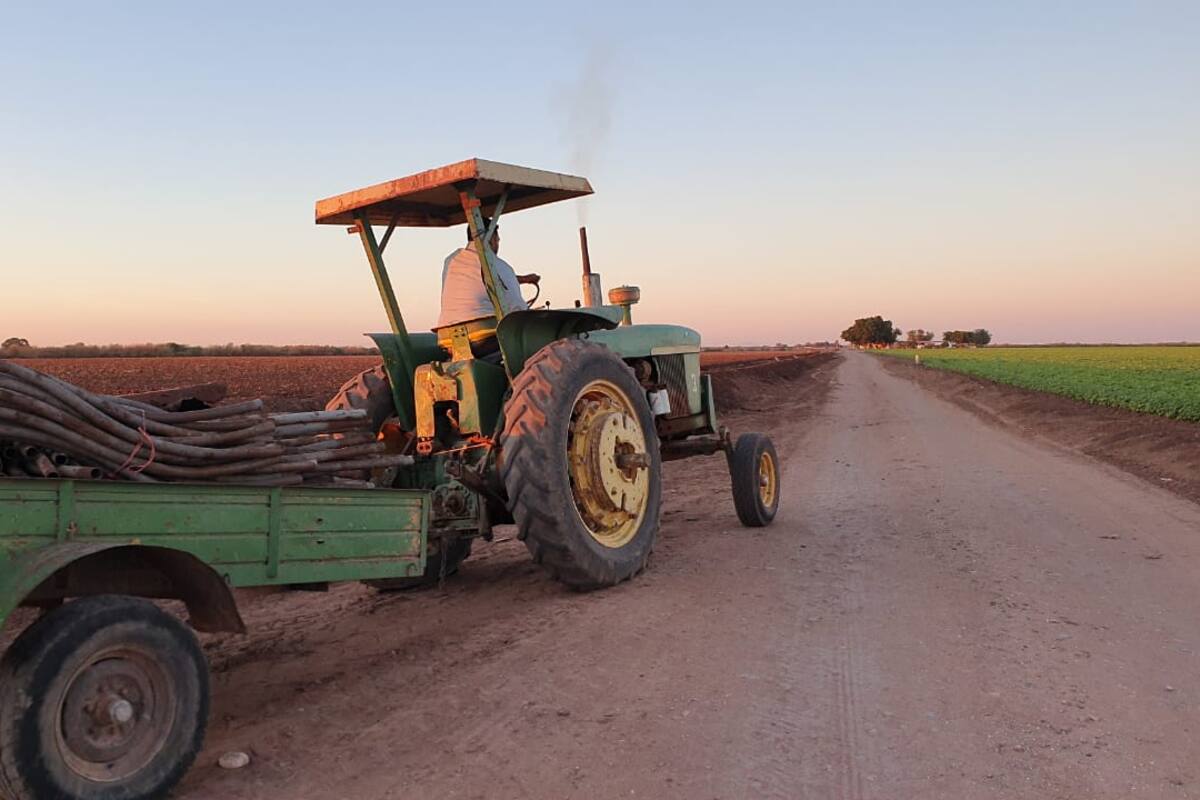 Trigo no alcanzó el precio deseado por productores