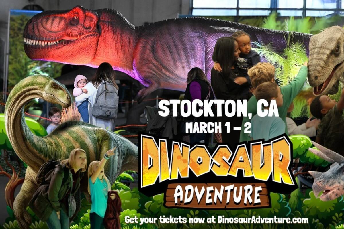 Disfruta del Dinosaur Adventure en California