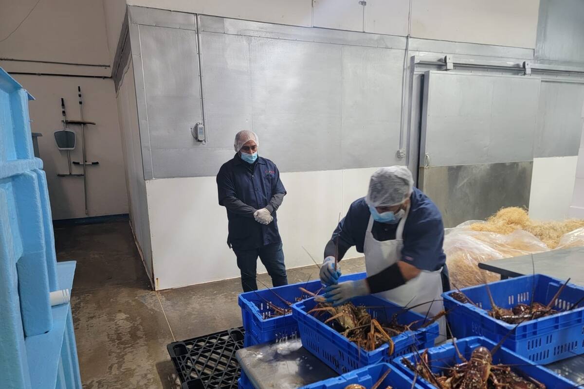 Verifica Coepris plantas pesqueras por temporada de cuaresma