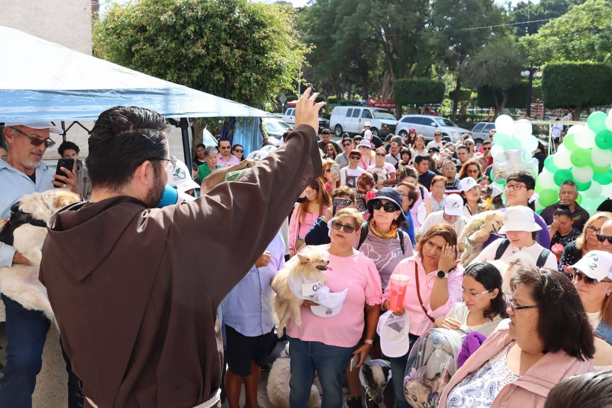 Invitan a bendecir mascotas este domingo en el Templo San Francisco de Asís