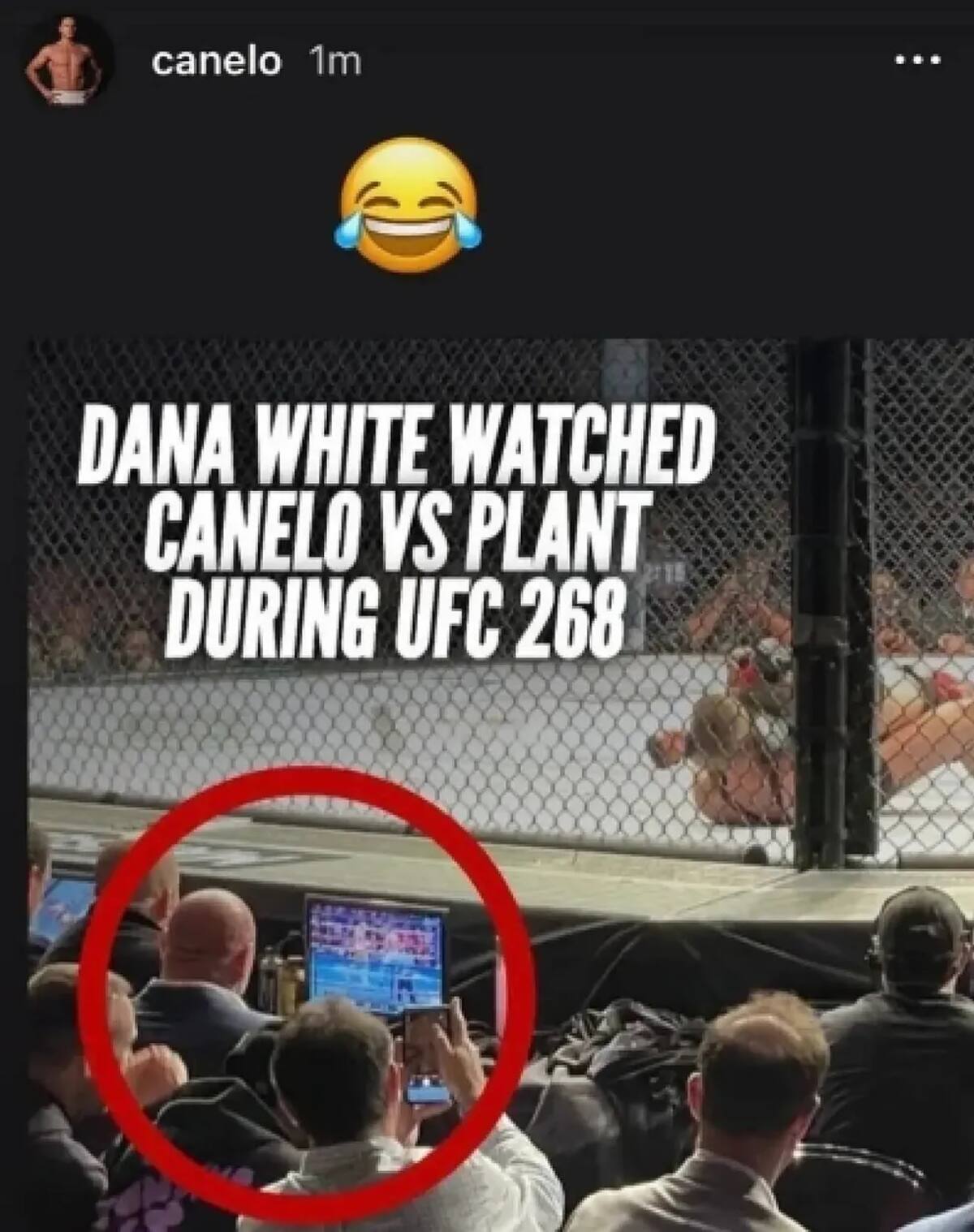 Dana White, presidente de la UFC, viendo la pelea de 'Canelo' Álvarez en una pantalla mientras ignora su propio evento.