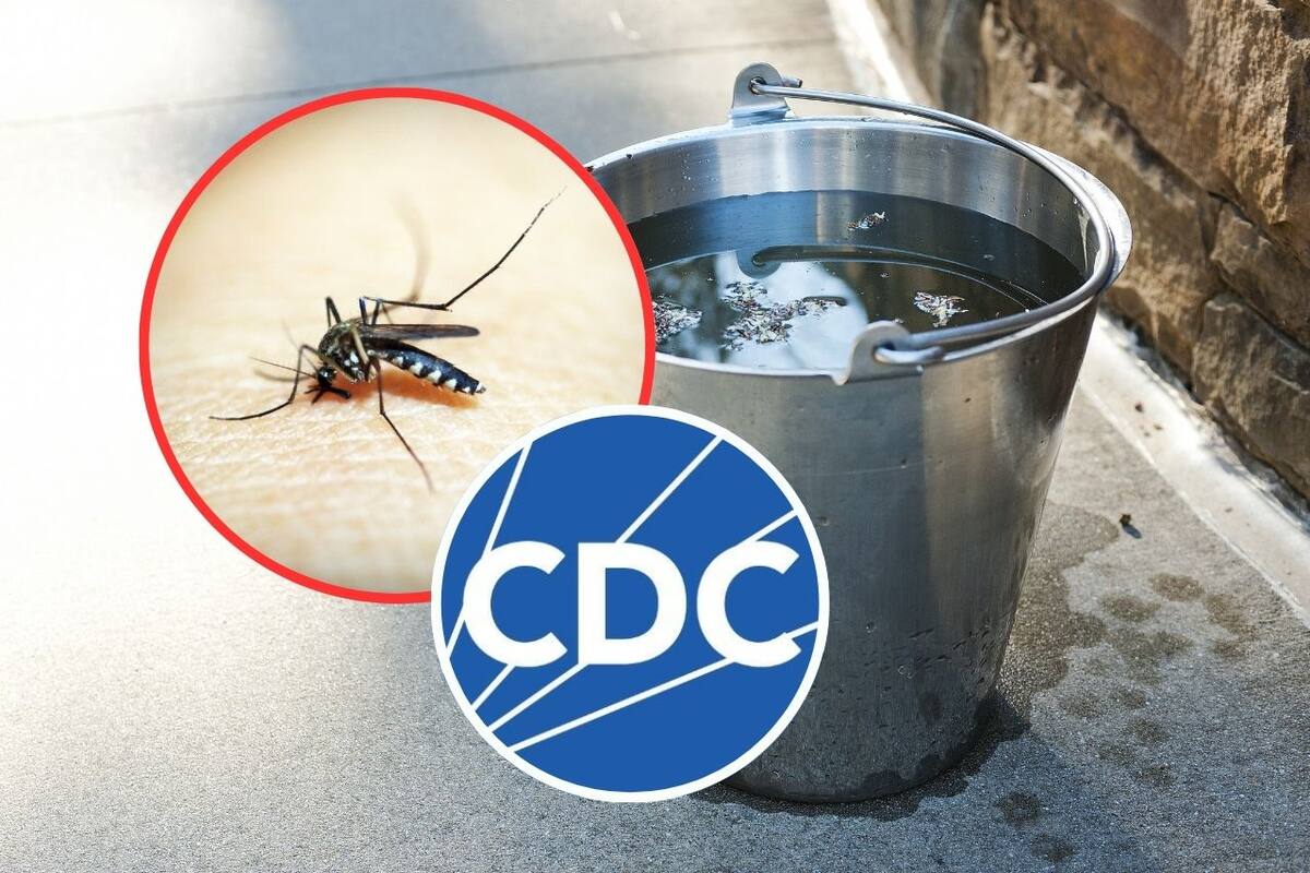 Advertencia de viaje a China por brote de virus chikungunya: CDC emite alerta y recomienda precauciones extremas