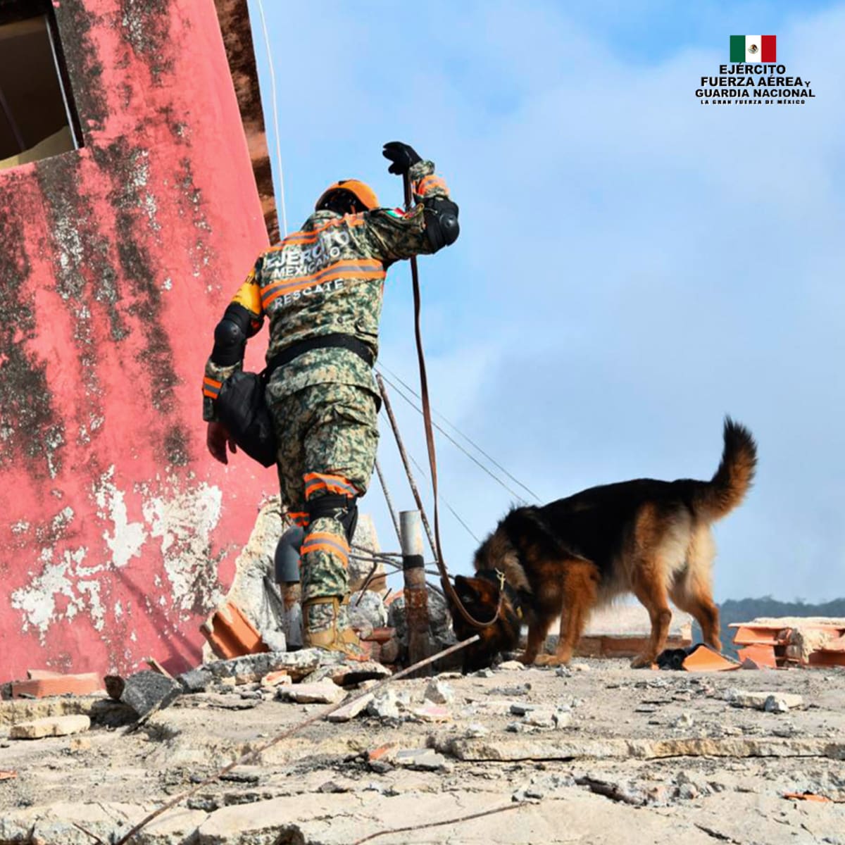 Entre ruinas, polvo y una carrera contra el tiempo, Max ayudó a localizar sobrevivientes en Venezuela antes de resultar herido en labores de rescate. | Fotografía ilustrativa/Defensa