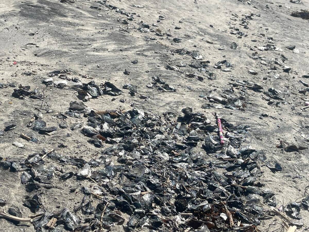 Foto: Carmen Gutiérrez