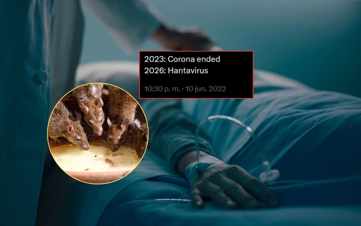 El hantavirus es una enfermedad transmitida principalmente por roedores infectados. El contagio ocurre cuando las personas inhalan partículas contaminadas provenientes de orina, saliva o heces de estos animales. Foto: Especial