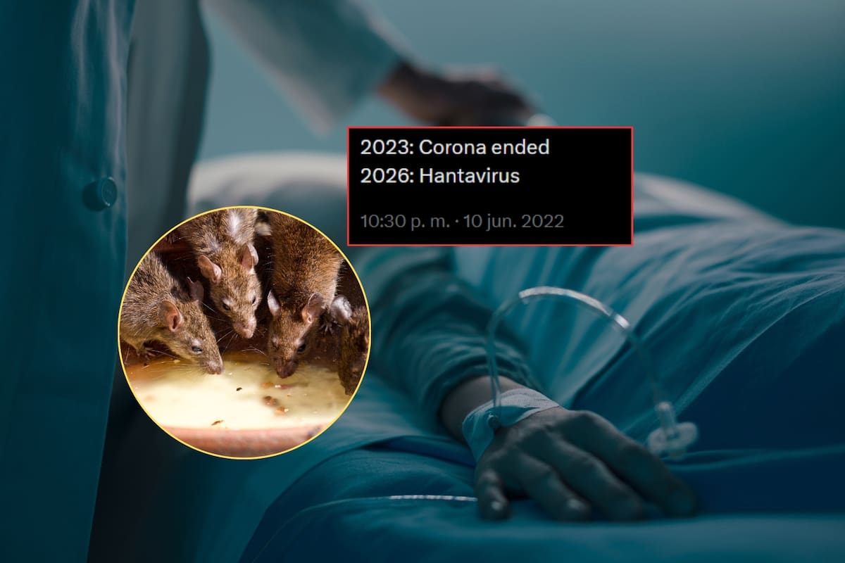 El hantavirus pudo haber sido “predicho” desde 2022 en una misteriosa publicación por un usuario anónimo comparando el impacto que tendría con el de la pandemia por covid