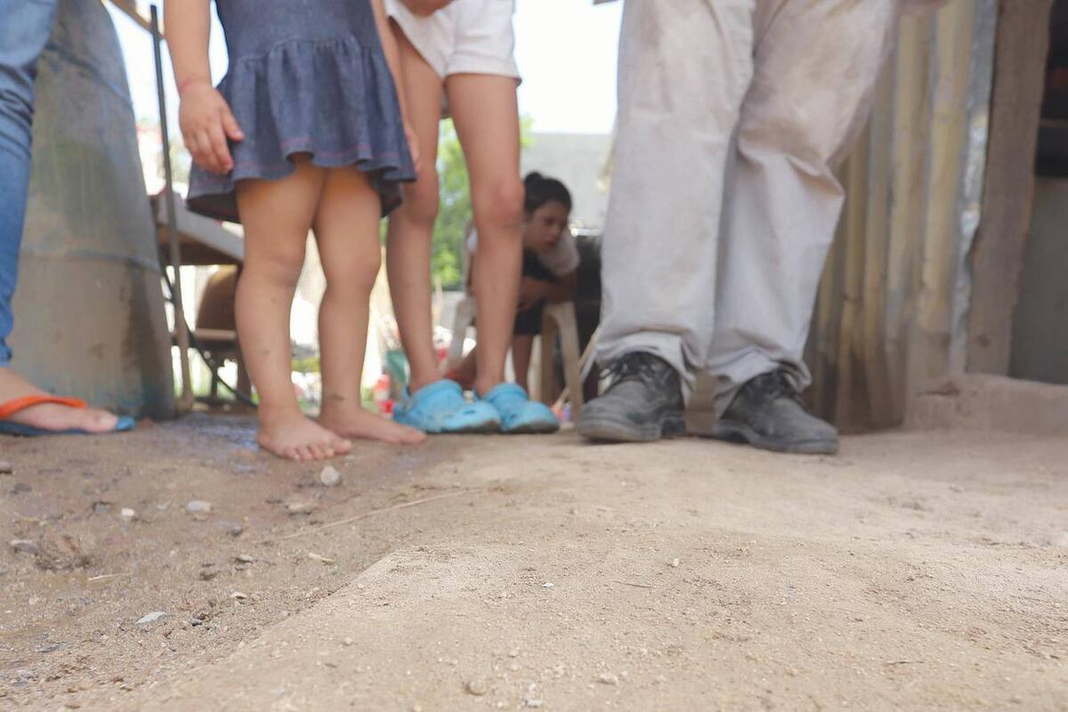 Verificará CACyF plaga de garrapatas en la 10 de Mayo