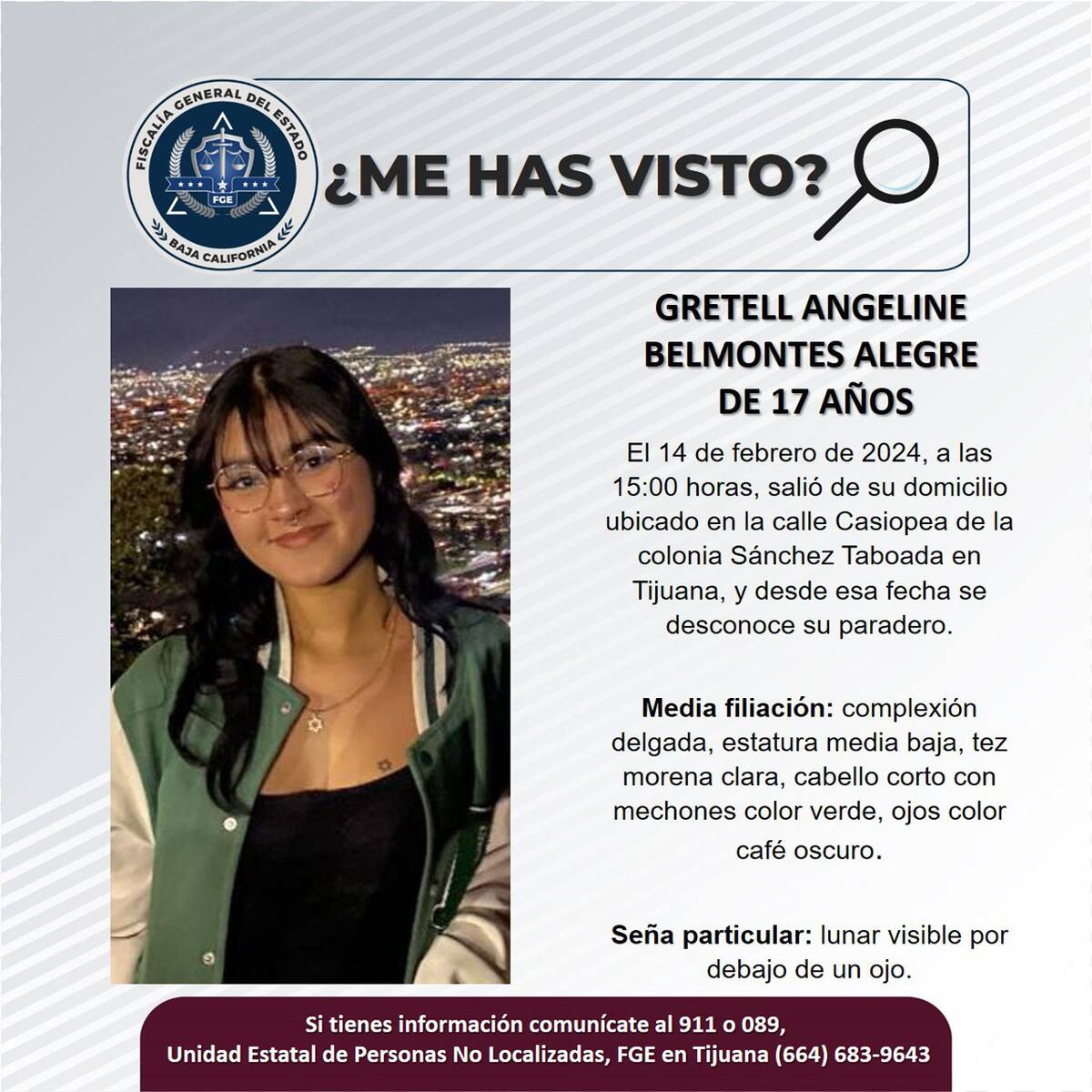 Pesquisa de Gretell Angeline Belmontes Alegre.