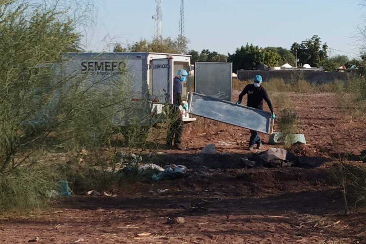 Rastreadoras ubican osamentas de una mujer y dos hombres en Urbi Villa del Real