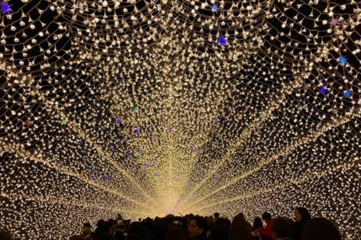 Parque de Japón iluminado con ¡5.8 millones de luces LED!