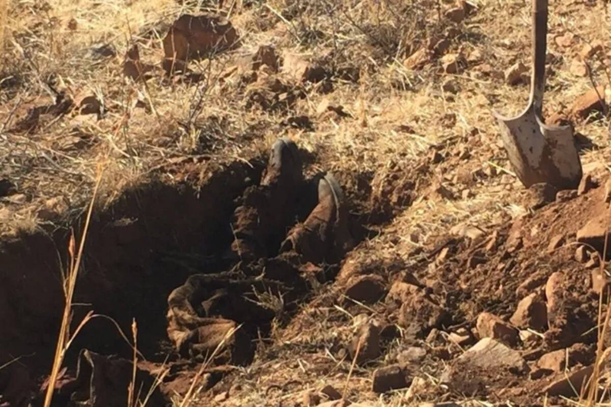 Encuentran 29 cuerpos en fosa clandestina en Jalisco