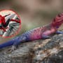¿Es IA o real? Lagarto ‘Spider-Man’ se vuelve viral en redes sociales