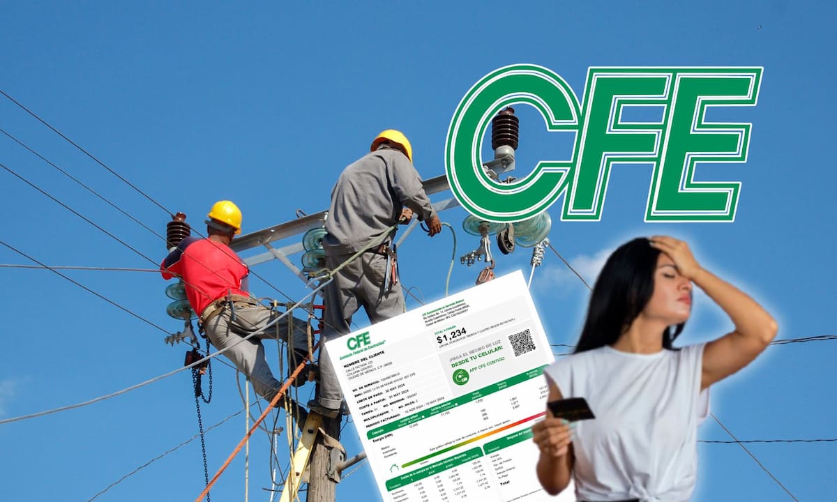 En la exposición de motivos de la propuesta de la Cámara de Diputados, se detalla que actualmente la ley no establece plazos fijos para que la CFE responda. | Foto: Pexels/ Magnific