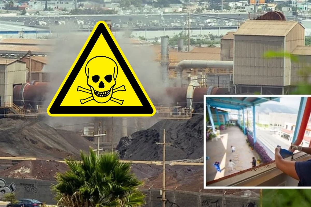 Análisis revela altos niveles de contaminación por metales pesados en viviendas y escuelas de Monterrey; entre ellos arsénico y plomo