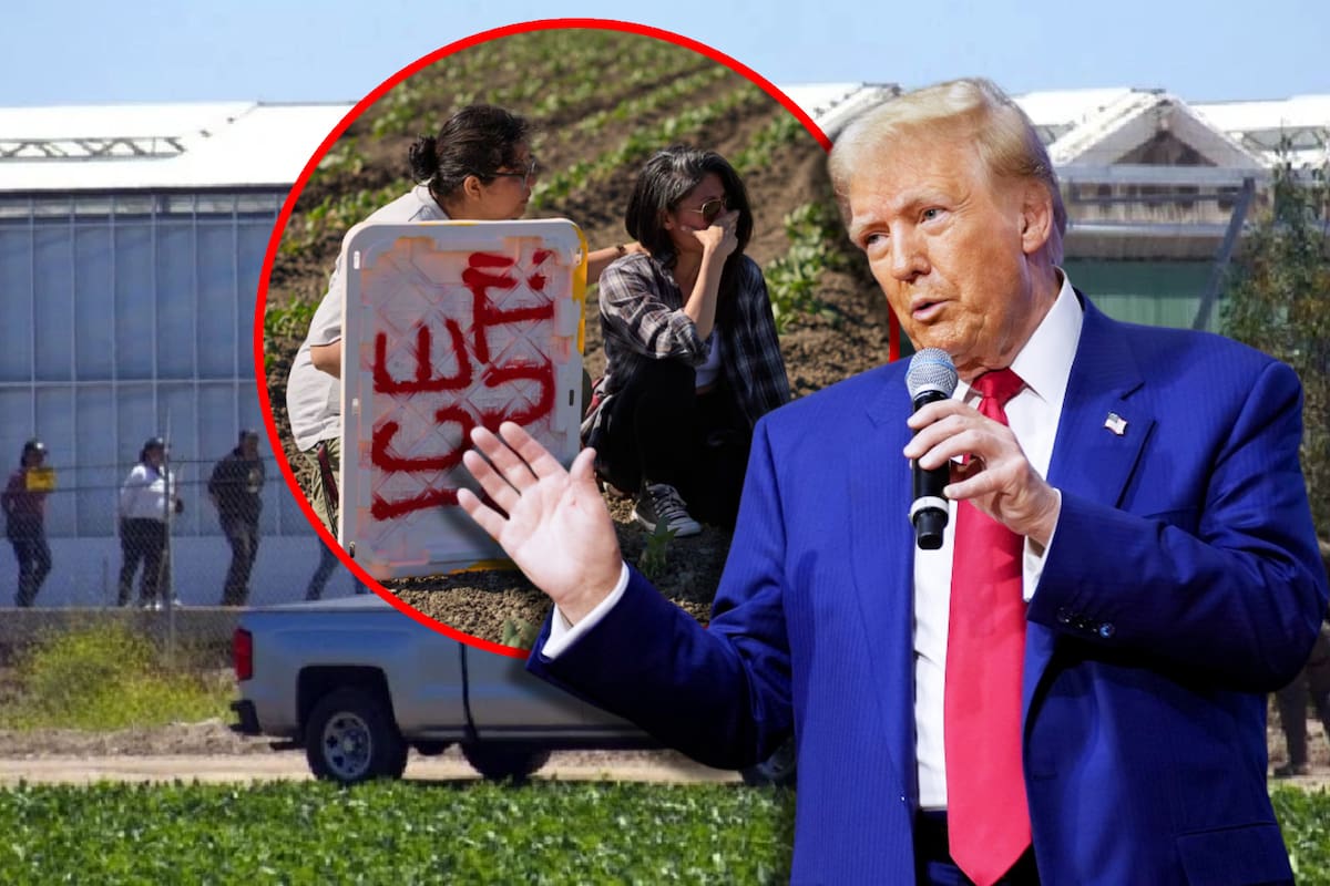 Trump admite que los migrantes agricultores que expulsa son “difíciles” de reemplazar: “La gente de las ciudades no hace ese trabajo, a ellos les sale natural”