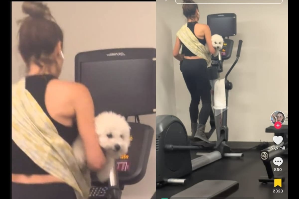 Mujer carga a su perrito mientras hace ejercicio en la caminadora de un gimnasio