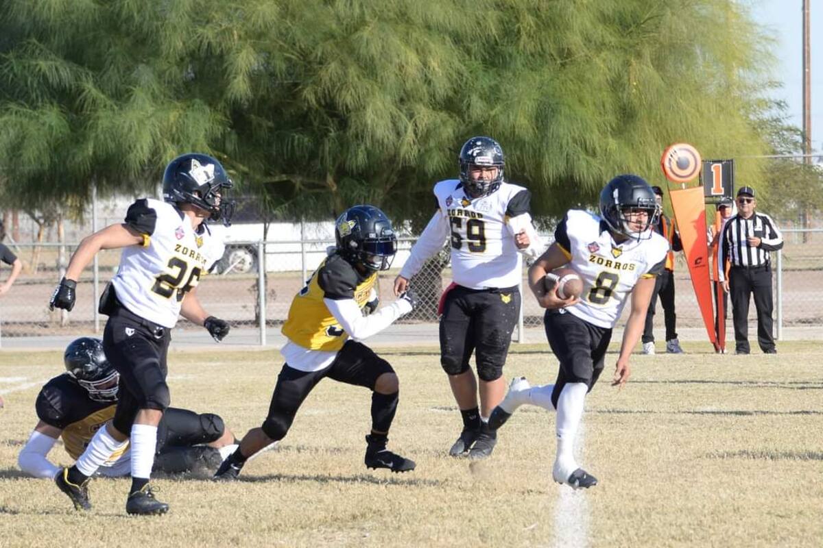 “Salva” y Cetys ganan en OEFA