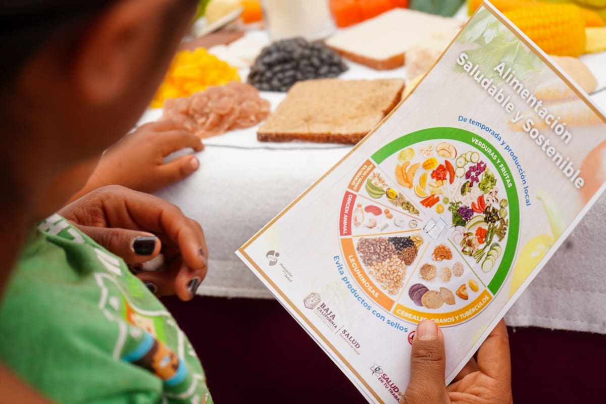 Tratamiento gratis para trastornos de la conducta alimentaria, disponible en BC