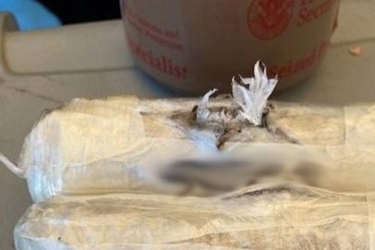 Decomisan droga en bolsa de comida rápida
