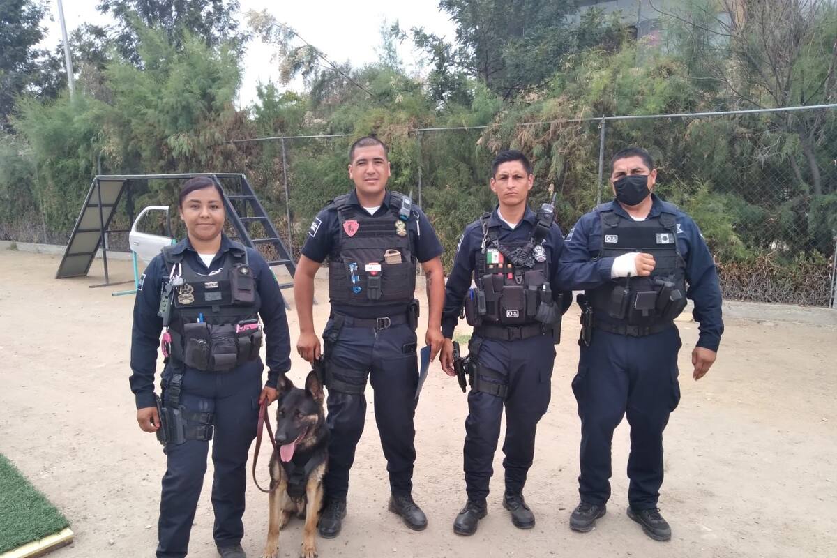 Capacitan a oficiales de la unidad canina para detectar narcóticos
